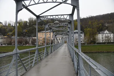 DSC_7106 (Large).JPG